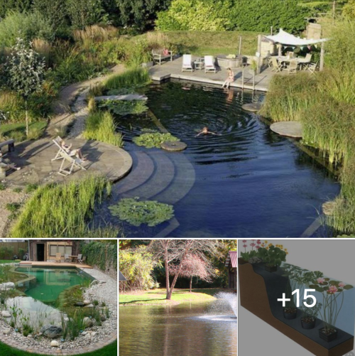 Off Grid Living - How to Build a Pond or Lake for Awesome Fishing and Reproduction