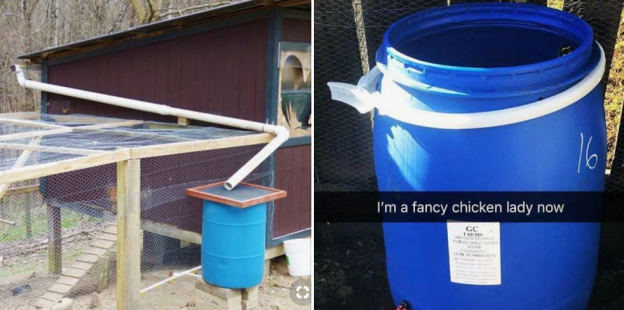 Off Grid Living - How to Setup an Automatic Watering System for Chicken Coops with Rainwater Harvesting