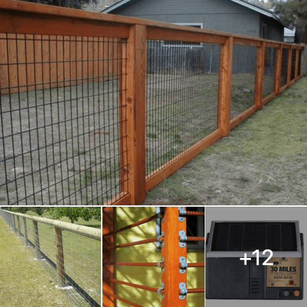 Off Grid Living - How to Build Fences for Off Grid Properties