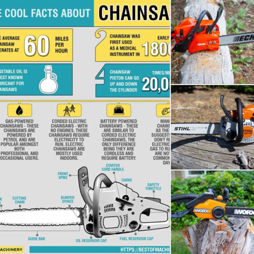 Off Grid Living - The Best Gas, Battery and Electric-Powered Chainsaws of 2020