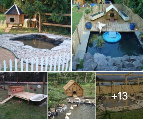 Off Grid Property - How to Build a Duck House and Duck Pond for an Off Grid Property