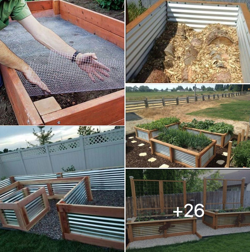 Living Off Grid - Planting a Raised Bed Garden for an Off Grid Homestead