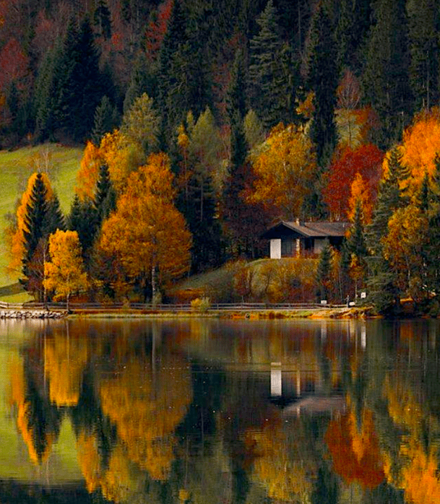 Living-Off-Grid.com - Rustic Log Cabin in the Mountain Forest Living-Off-Grid.com - Rustic Log Cabin in the Mountain Forest